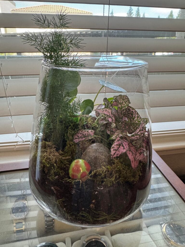 First Creation