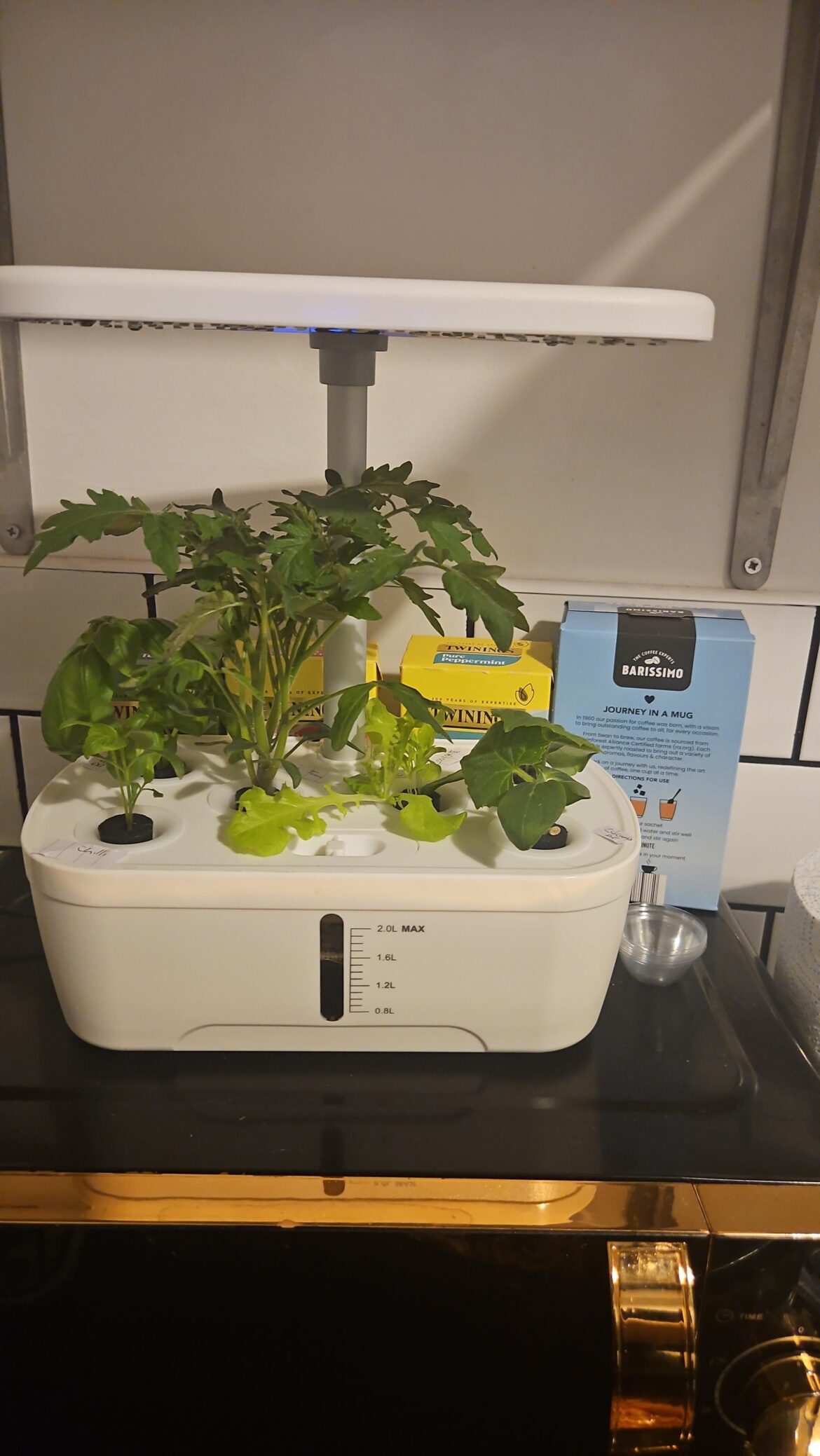 Beginner advice – do I need anything else? Beginner advice - do I need anything else?