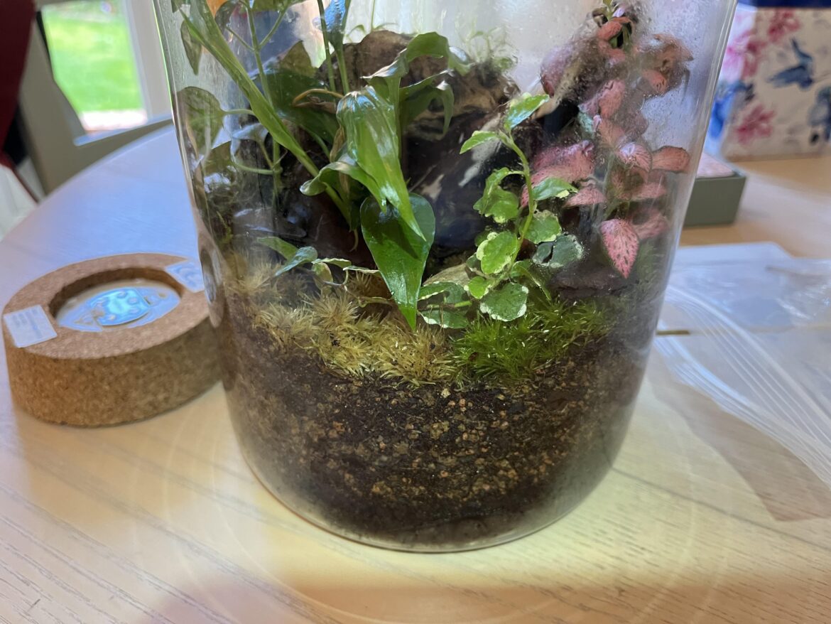 Help with moss