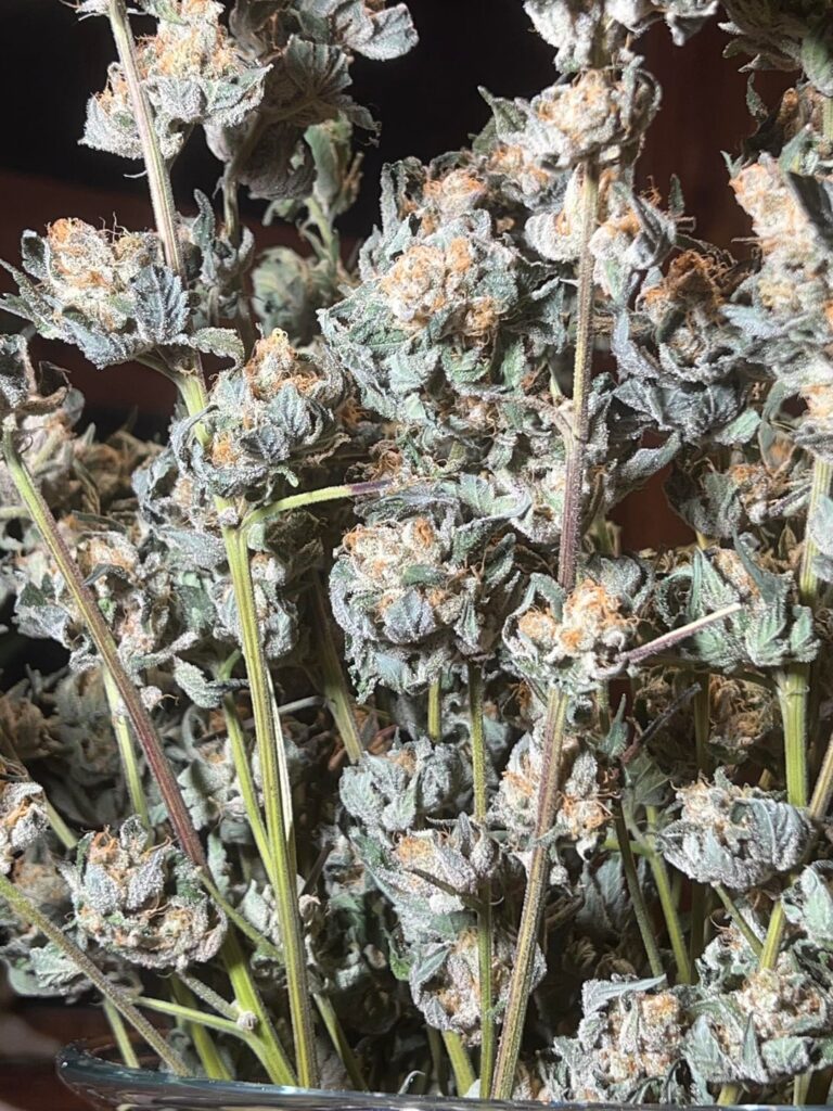 Beautiful bouquet