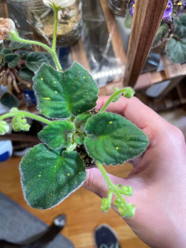 Is it doomed?