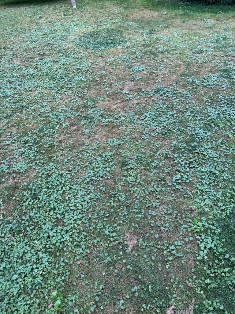 August 23rd to Today!