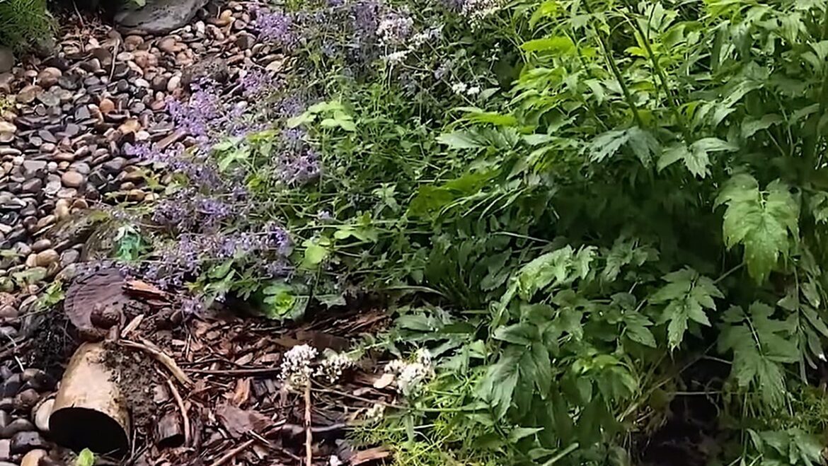 ‘I am seriously considering creating one’ "Yours inspired mine!"