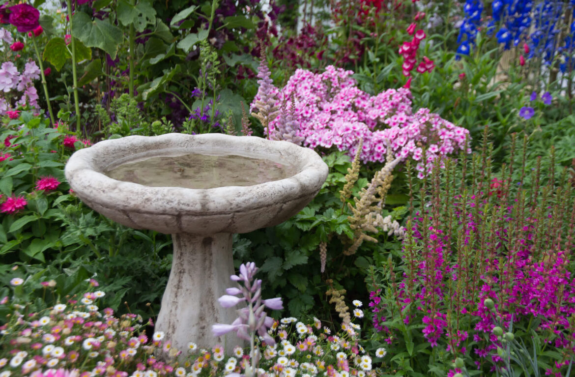 "She's admiring that gorgeous garden."