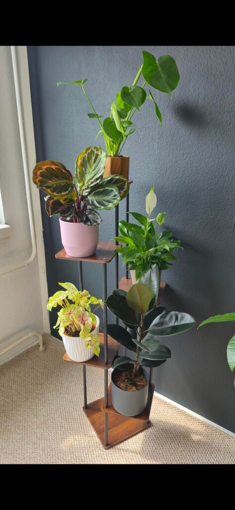 2 months difference...