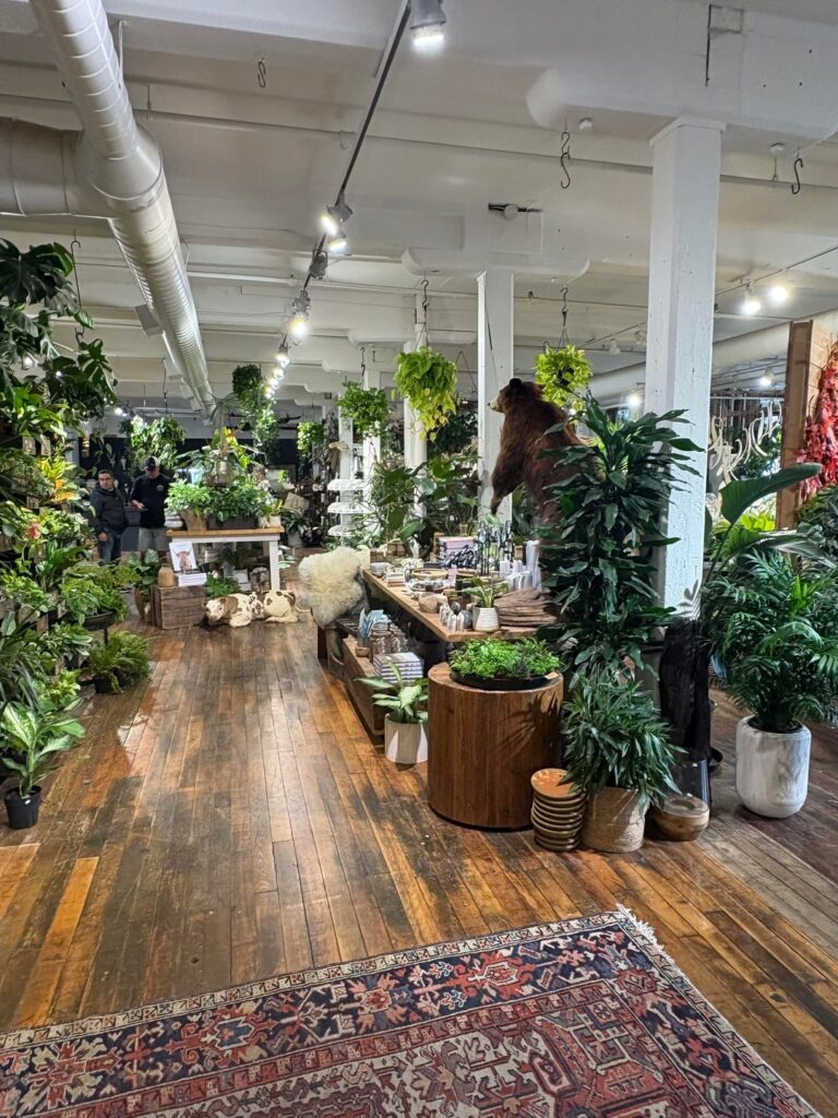 Went to the coolest plant shop today!