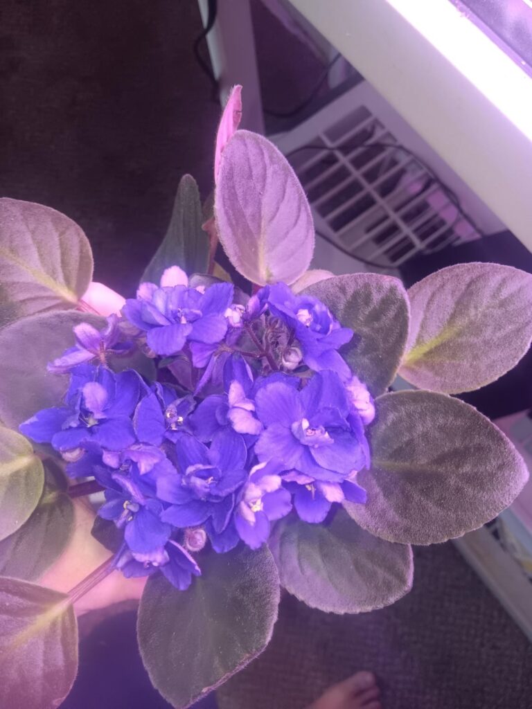Help to id please