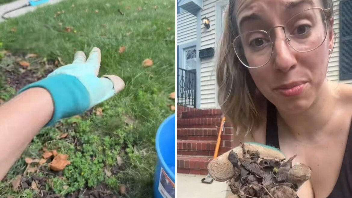 "There’s no benefits."