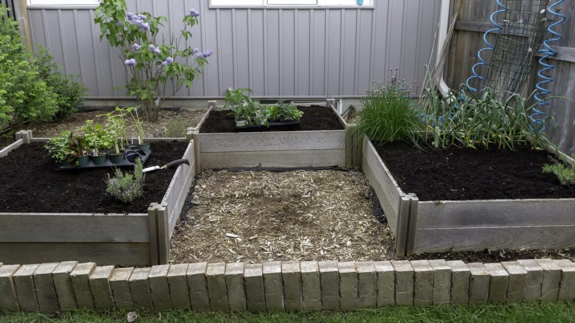 "I dug out every last bit!"