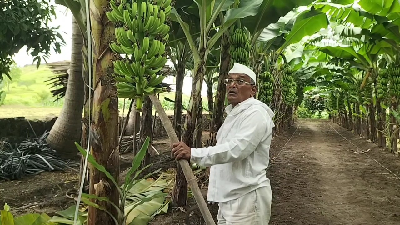 Banana