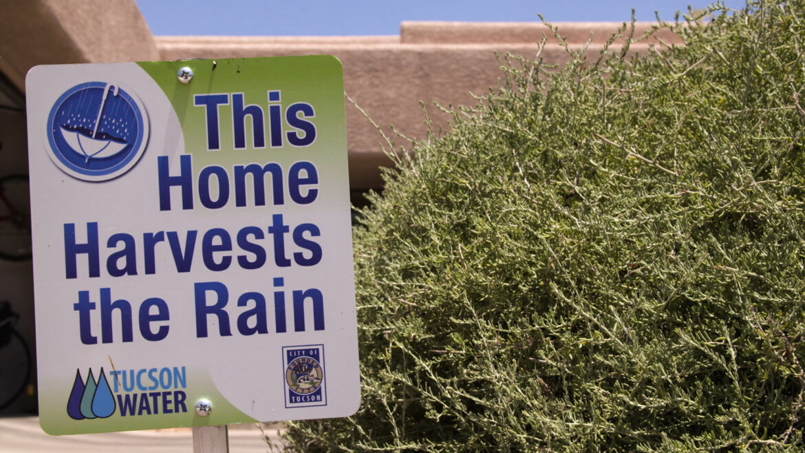 Rainwater harvesting grows in the Southwest and beyond to nourish thirsty gardens in a hotter world Rainwater harvesting grows in the Southwest and beyond to nourish thirsty gardens in a hotter world
