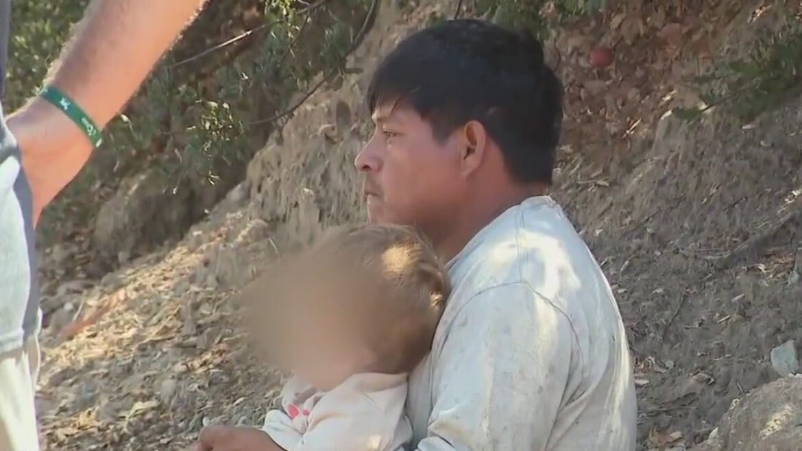 Gardener pulls child from burning car during fatal multi-vehicle crash in Orange County Gardener pulls child from burning car during fatal multi-vehicle crash in Orange County