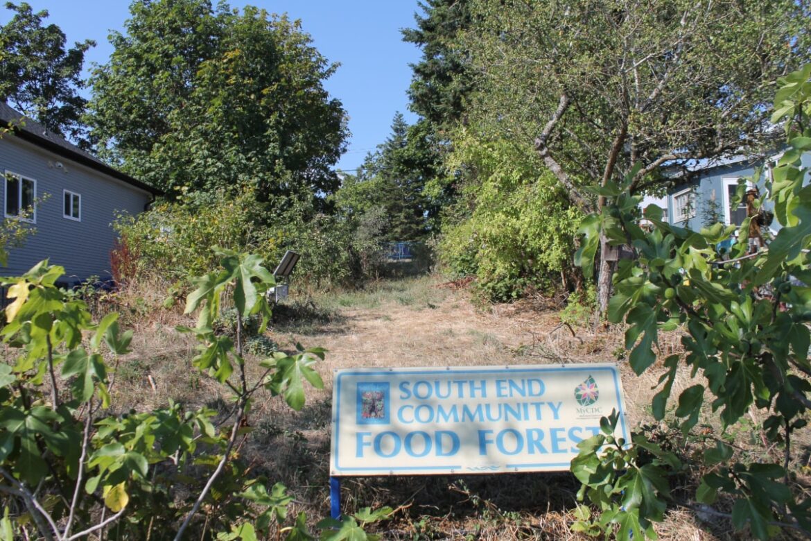 Nanaimo city council advances plans for Nicol Street supportive housing project