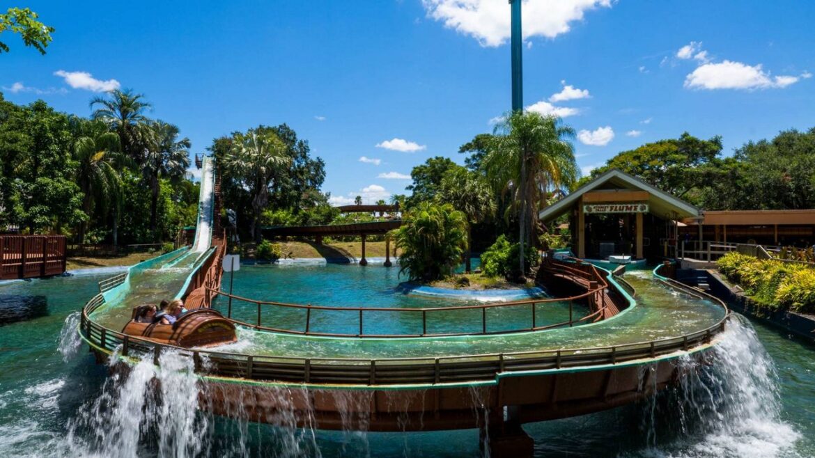 Stanley Falls Flume at Busch Gardens to permanently close Stanley Falls Flume was one of Busch Gardens' original rides from its grand opening in 1973. The ride is permanently closing on Sept. 7. (Photo: Busch Gardens Tampa Bay)