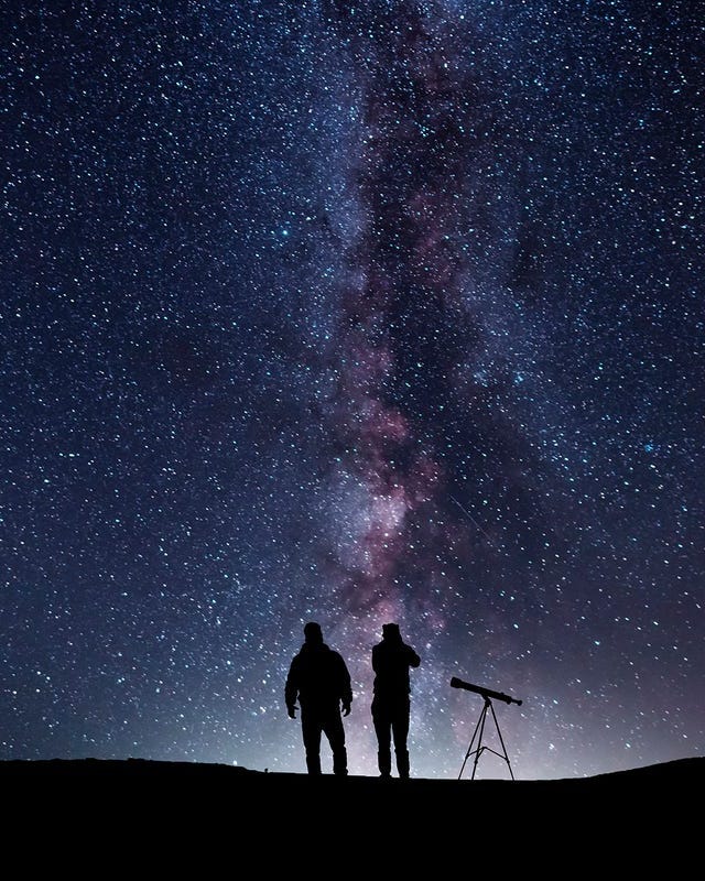 stargazing in a field