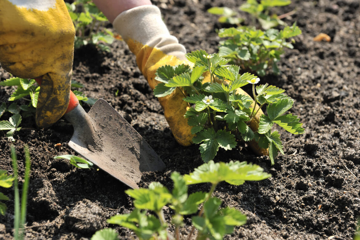 ‘This is good to know’ "Wish me luck."