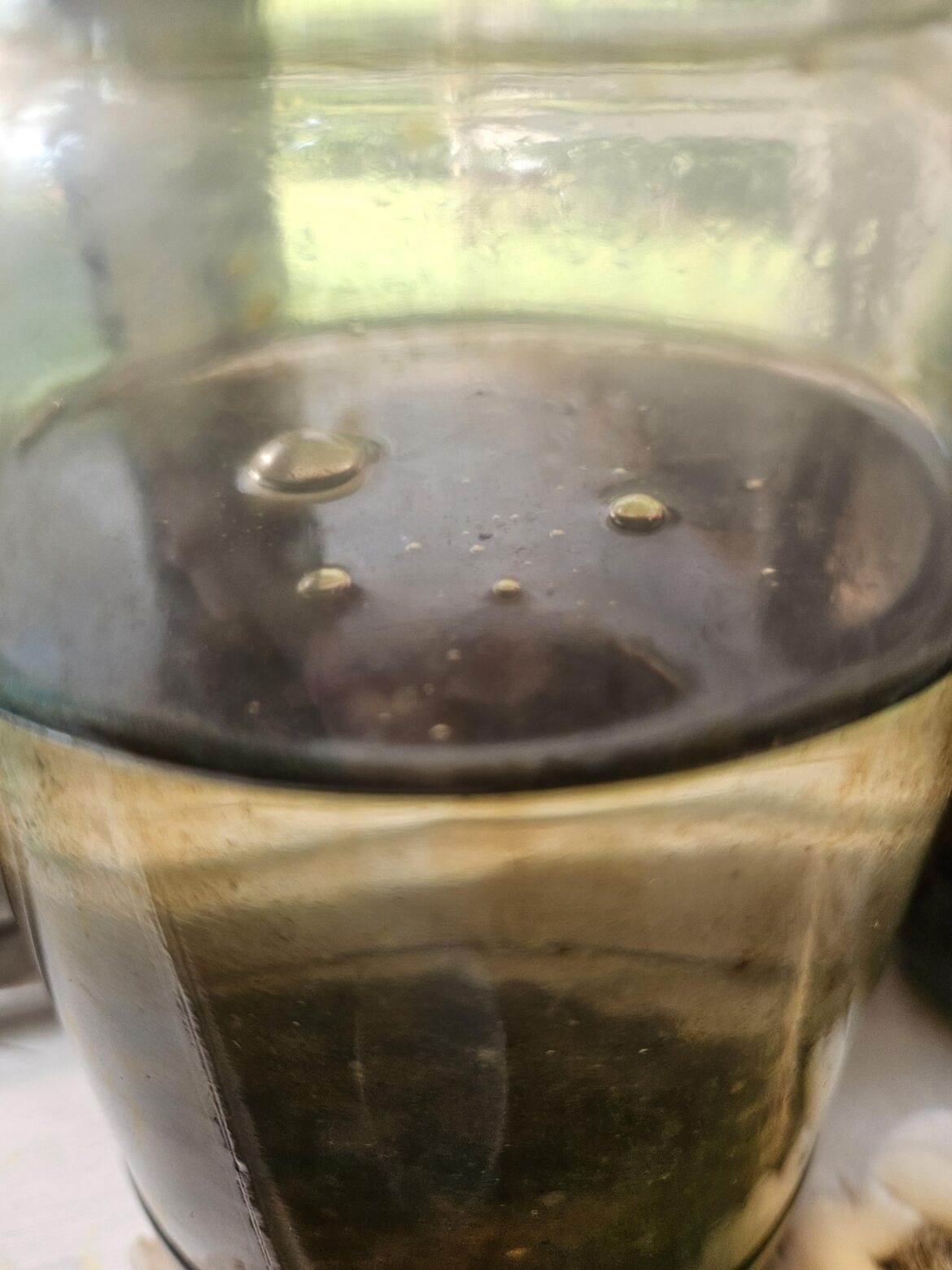 ~2 months old - how come it has bubbles in it?