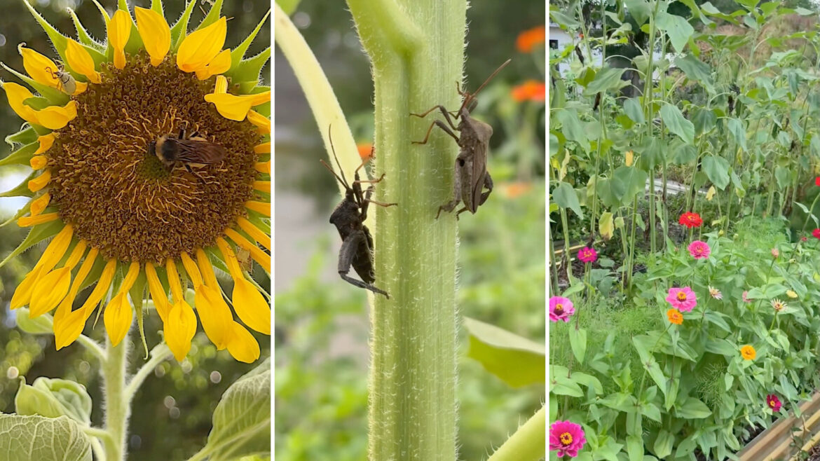 ‘One of the most common questions I get’ "I didn't know."