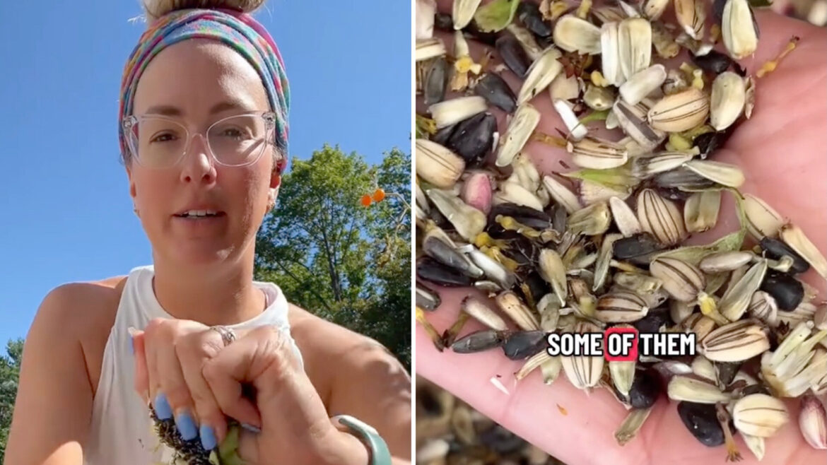 ‘I never knew it was so easy’ "This is one of my favorite fall activities!"
