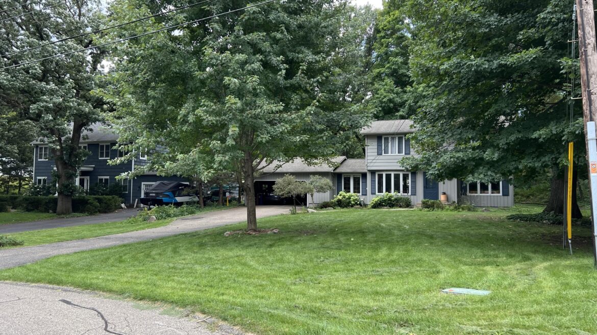 Tips to convert standard lawn Tips to convert standard lawn
