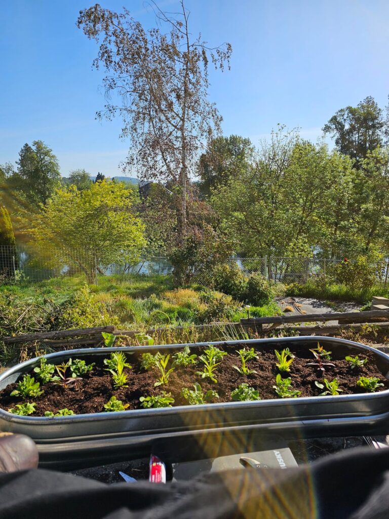 From about a month ago.