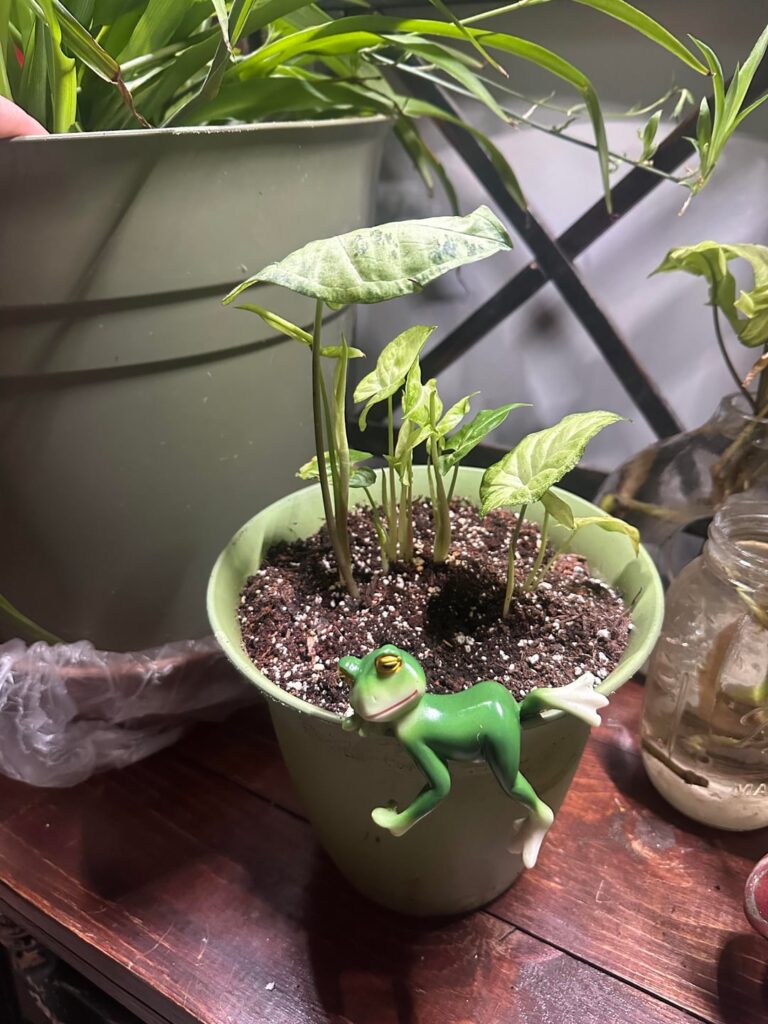 Just proud of my babies