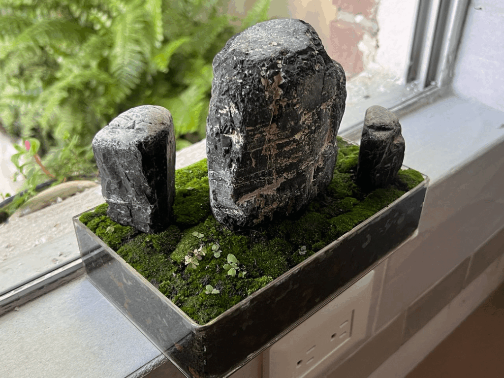 Miniature terrarium Miniature terrarium