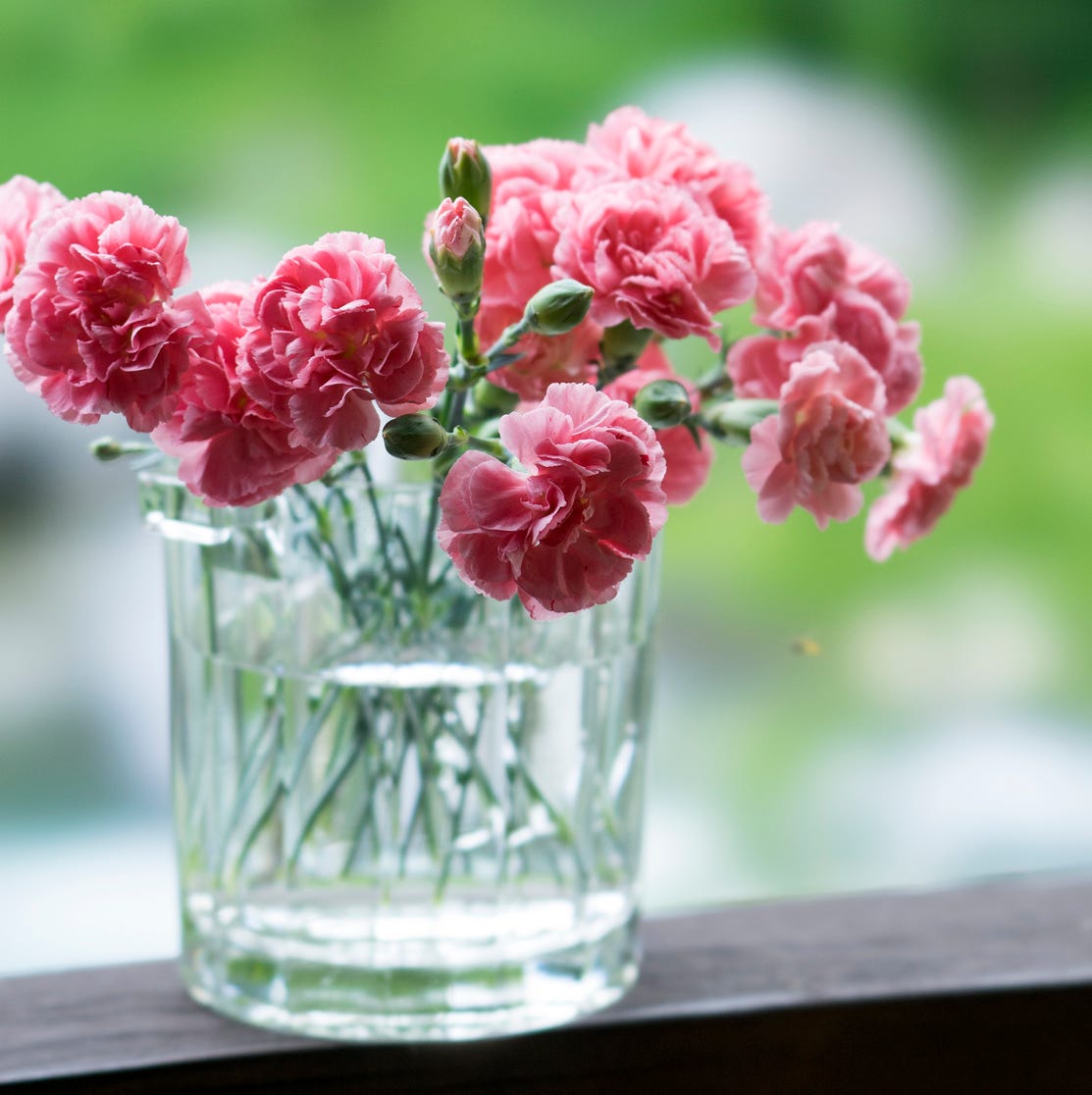 pink carnations in a clear glass vase