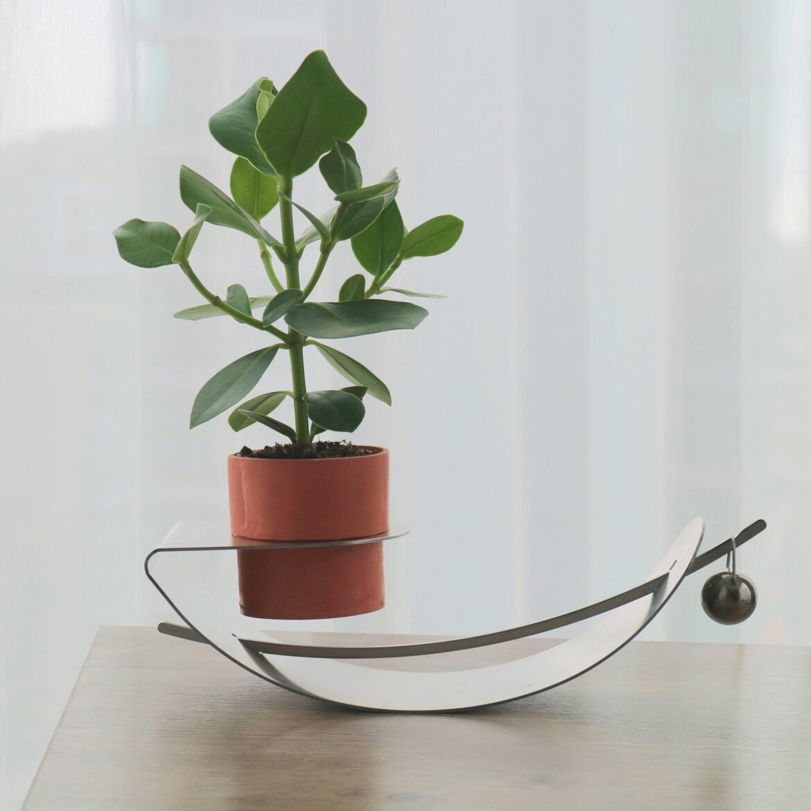 Doris Xu designs Tilt planter to show “constant change” of houseplants Doris Xu designs Tilt planter to show "constant change" of houseplants
