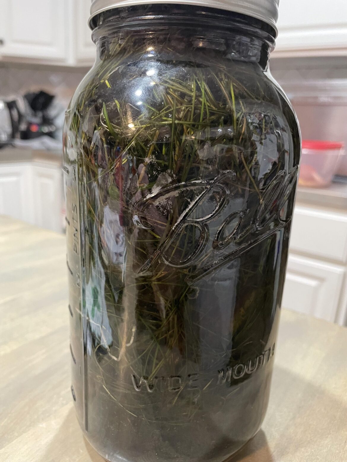 First jar and I have a quick question First jar and I have a quick question