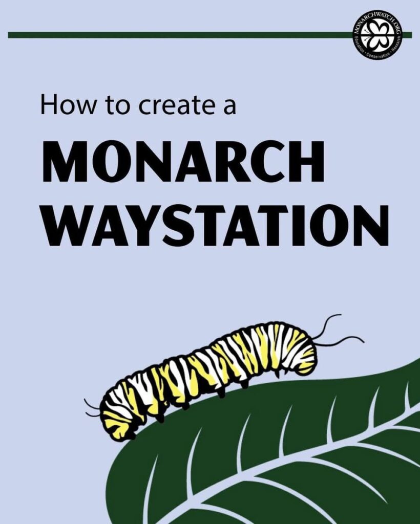 Now that it’s starting to cool off a bit, it’s a great time to do some fall planting outside for a Waystation! (Swipe)