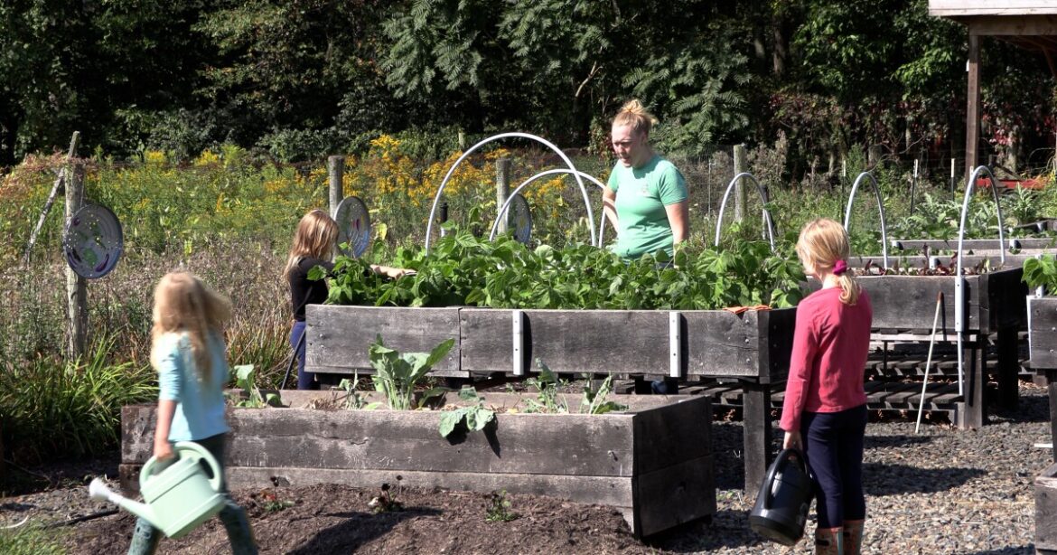 ‘Plant People’ feature grows bonds between gardeners throughout the region 'Plant People' feature grows bonds between gardeners throughout the region