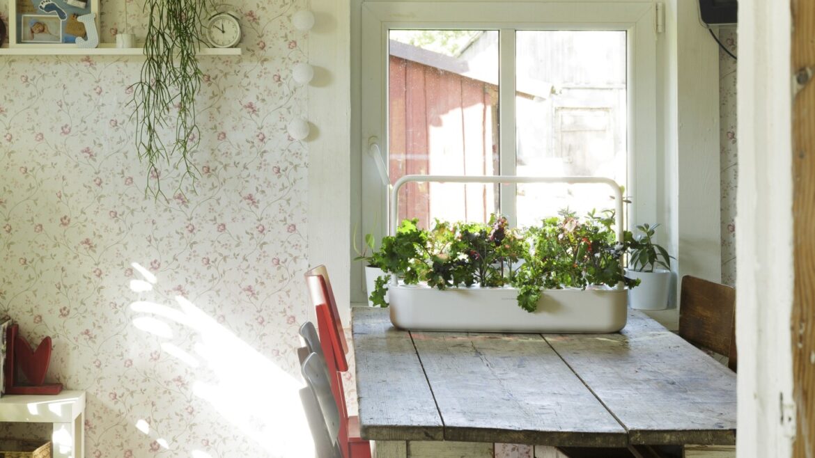 Smart gardening uses technology and AI to foster healthy plants Smart gardening uses technology and AI to foster healthy plants