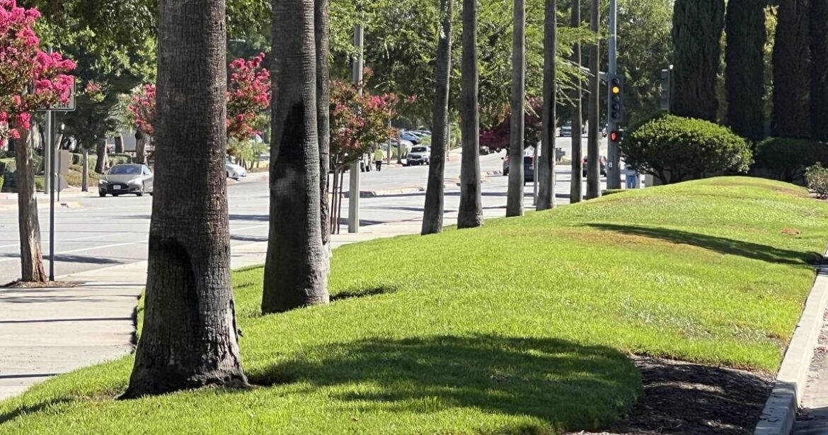 Metropolitan Water doubles rebate for nonresidential turf removal Metropolitan Water doubles rebate for nonresidential turf removal