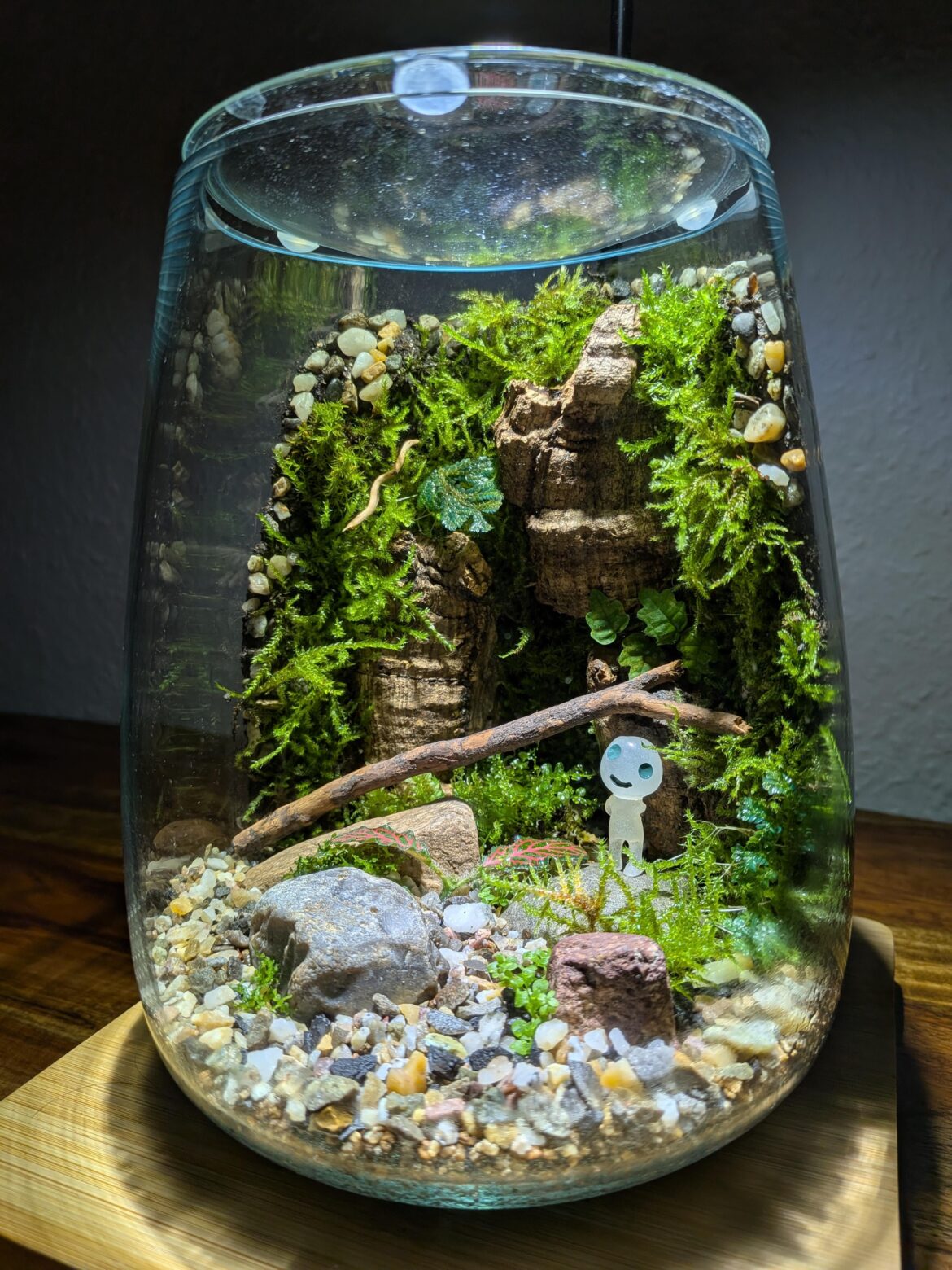 New Glass. Pls give advice