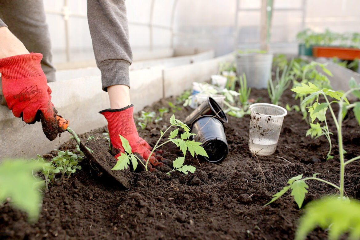 Garden planning kicks off homesteading series