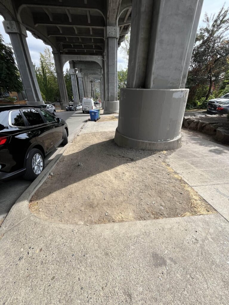 Could Anything Grow Here? Could Anything Grow Here?