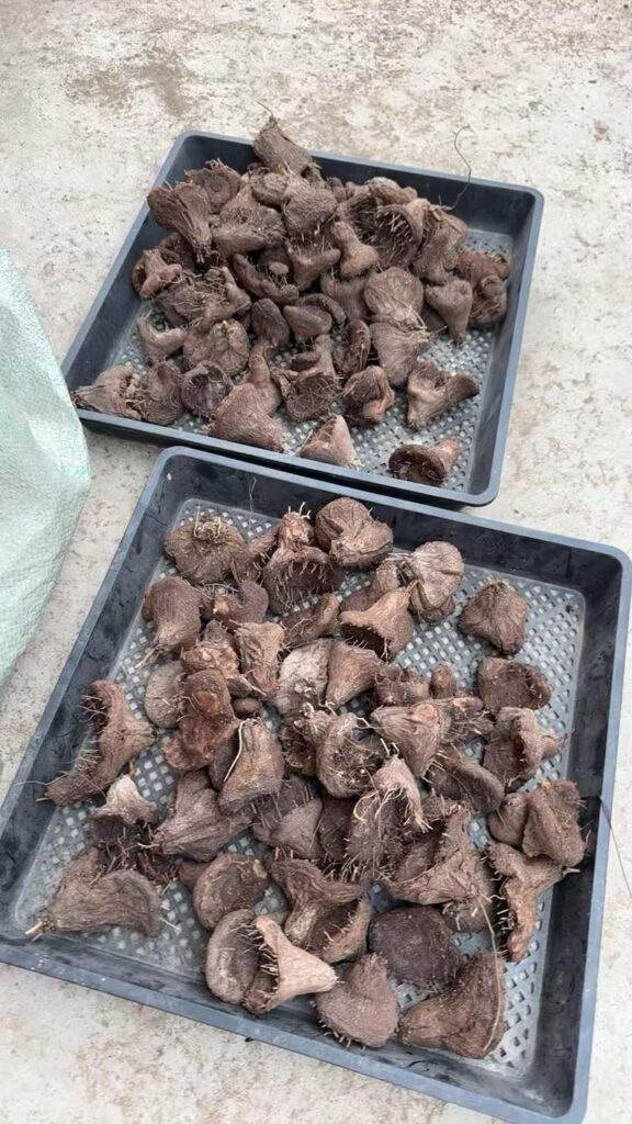 Do these look poached?