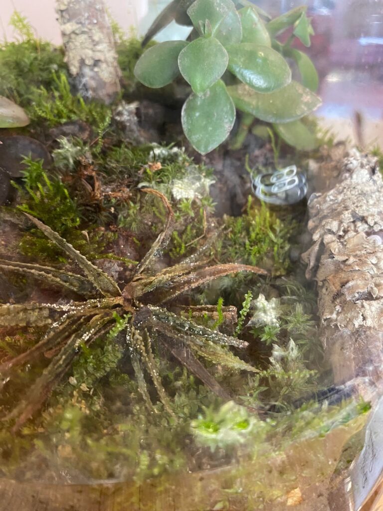 What am I doing wrong?