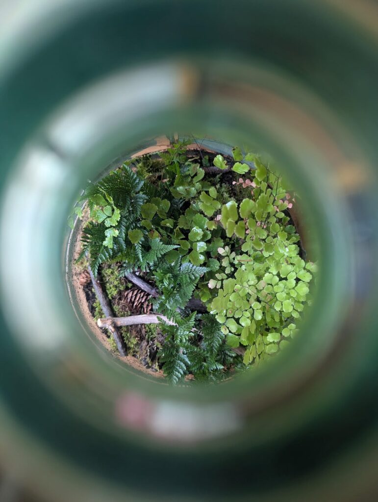 Forest floor in a bottle.