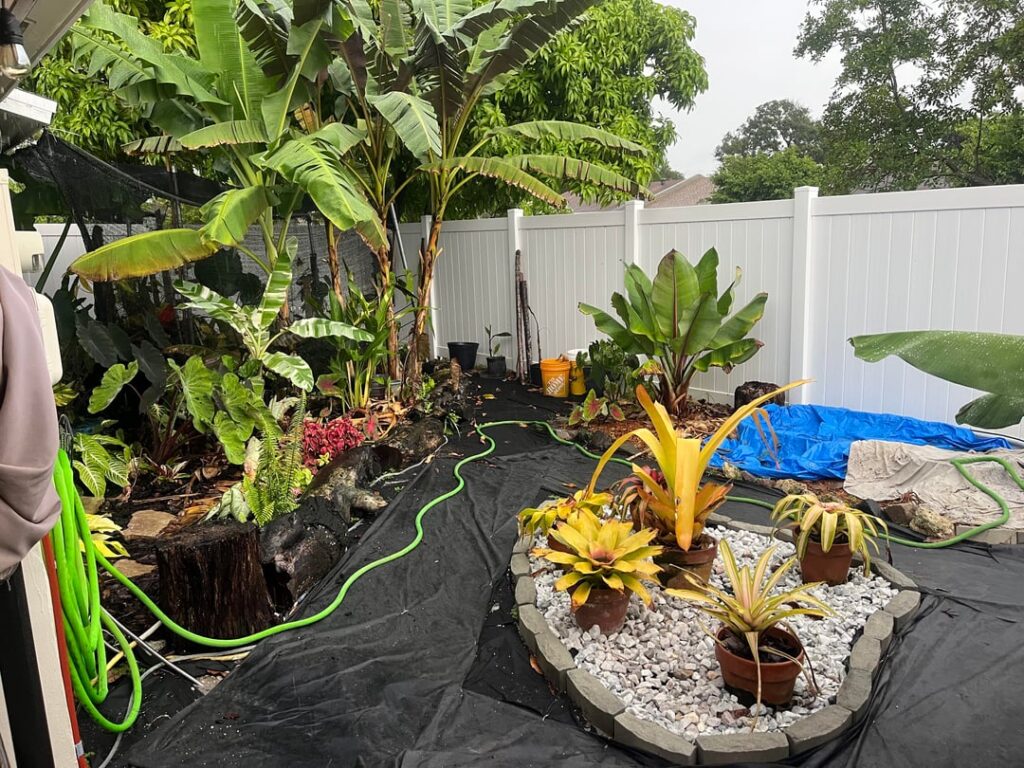 My mini Garden and shade house in sfl