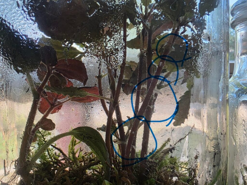 To trim or lean into it? To trim or lean into it?