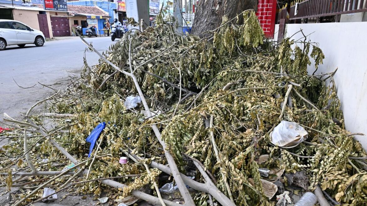 Coimbatore Corporation plans to process garden waste within each ward Coimbatore Corporation plans to process garden waste within each ward