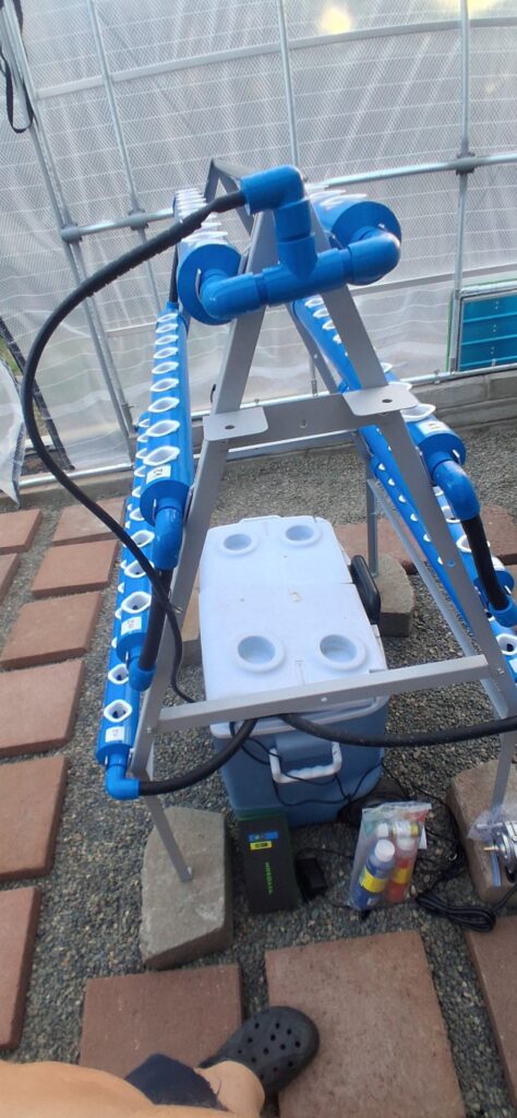 Starting my hydroponics journey