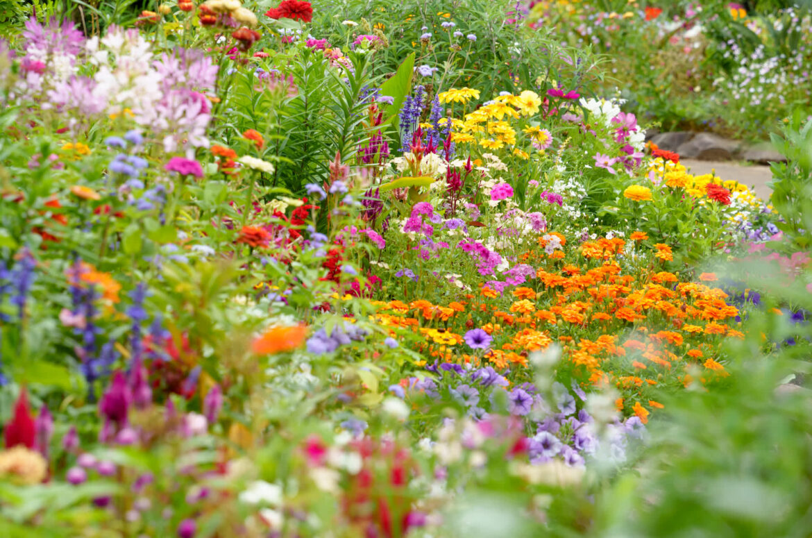 ‘It’s too early for this nonsense’ "Amazing garden!"