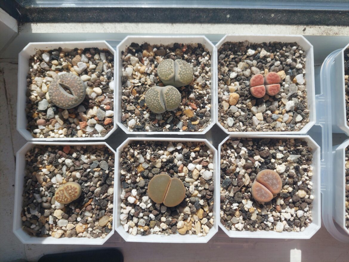 I love these lovely butts :3 I love these lovely butts :3