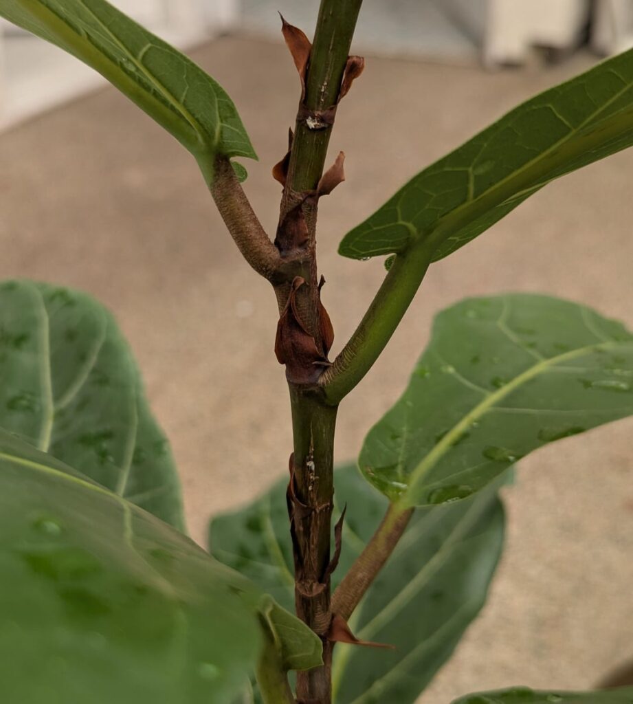 What's this?