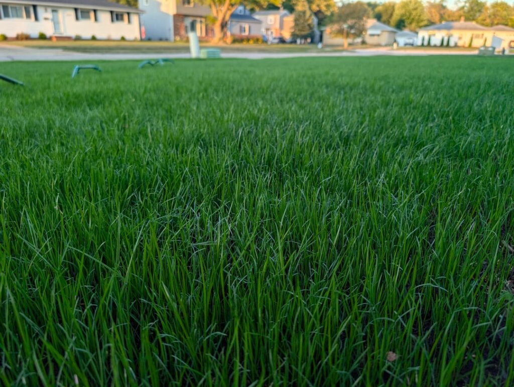 Day 15 full reno Tuff Turf after dark NE Ohio
