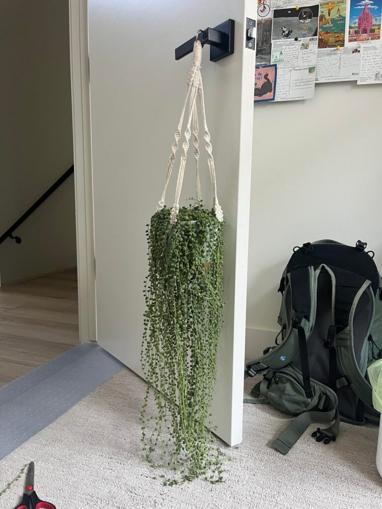 How to care for m my string of pearls How to care for m my string of pearls