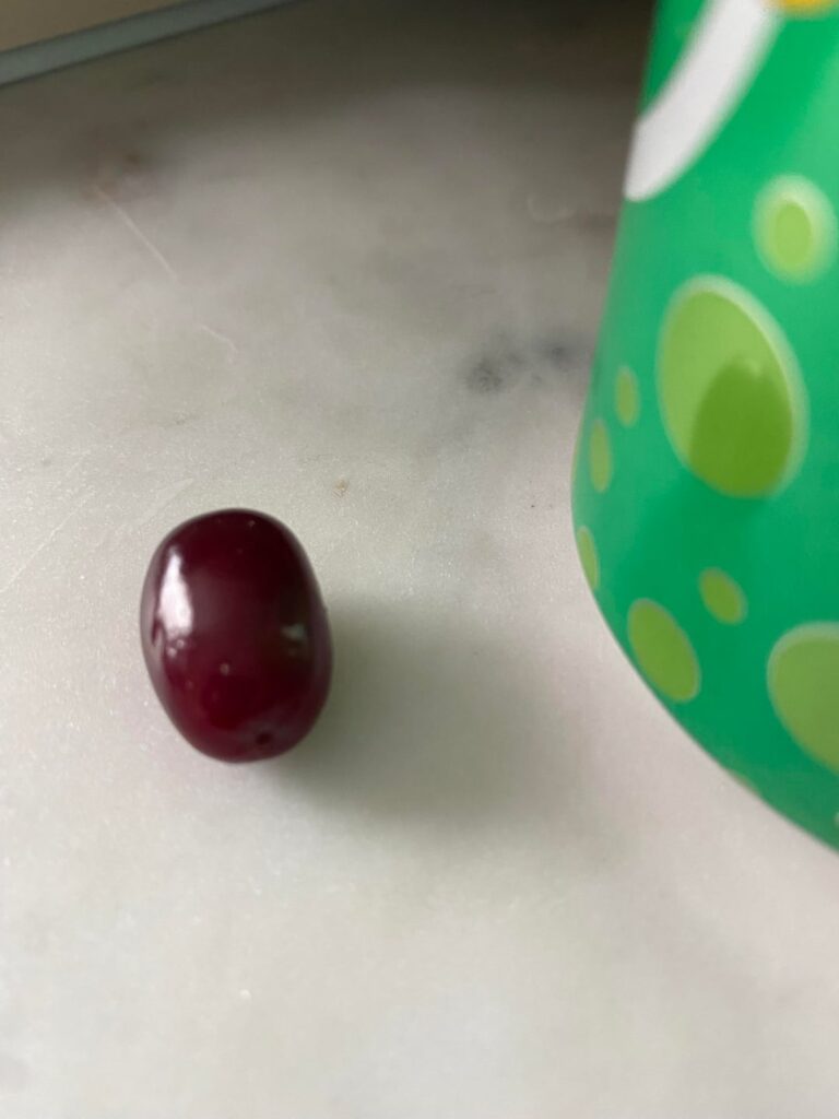 What berry is this (now with more pics)?